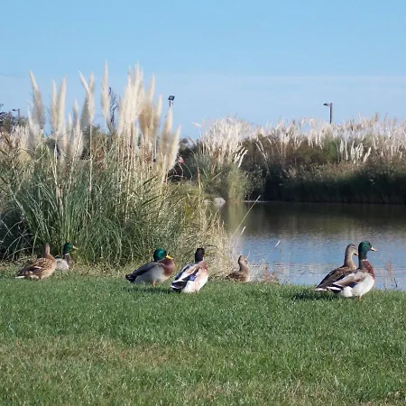 Climatisee 3 Pieces 100 M Cap D'agde * Agde