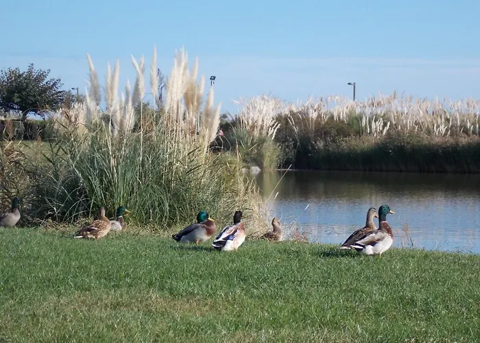 Climatisée 3 Pièces 100 M Cap D'agde * Agde