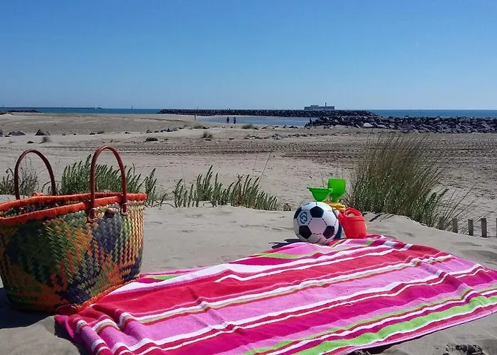 Climatisée 3 Pièces 100 M Cap D'agde Agde